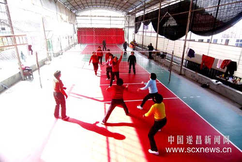 老年朋友用上塑胶气排球场--遂昌新闻网