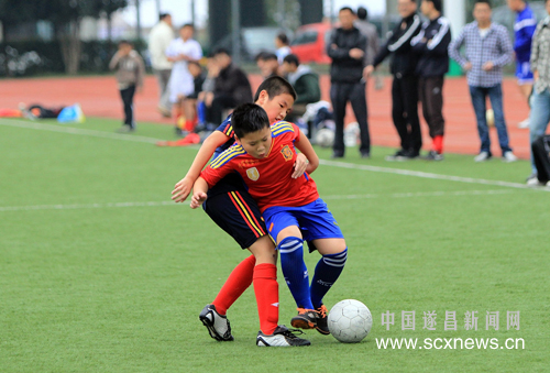 遂昌少年足球队夺冠 --遂昌新闻网
