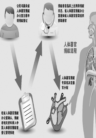 肾能卖多少_一个肾能值多少钱_肾能卖到50万吗